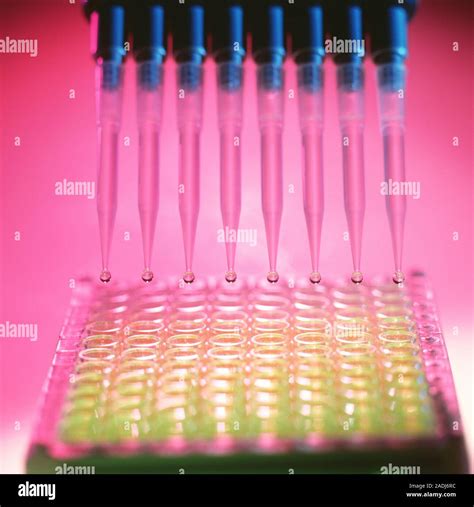 elisa test od|elisa blood test.